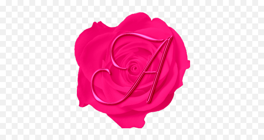 Alfabeto Rosa Pink Png Pink Rose Alphabet Pink Thinkpink - Girly Emoji,Pink Rose Emoticon