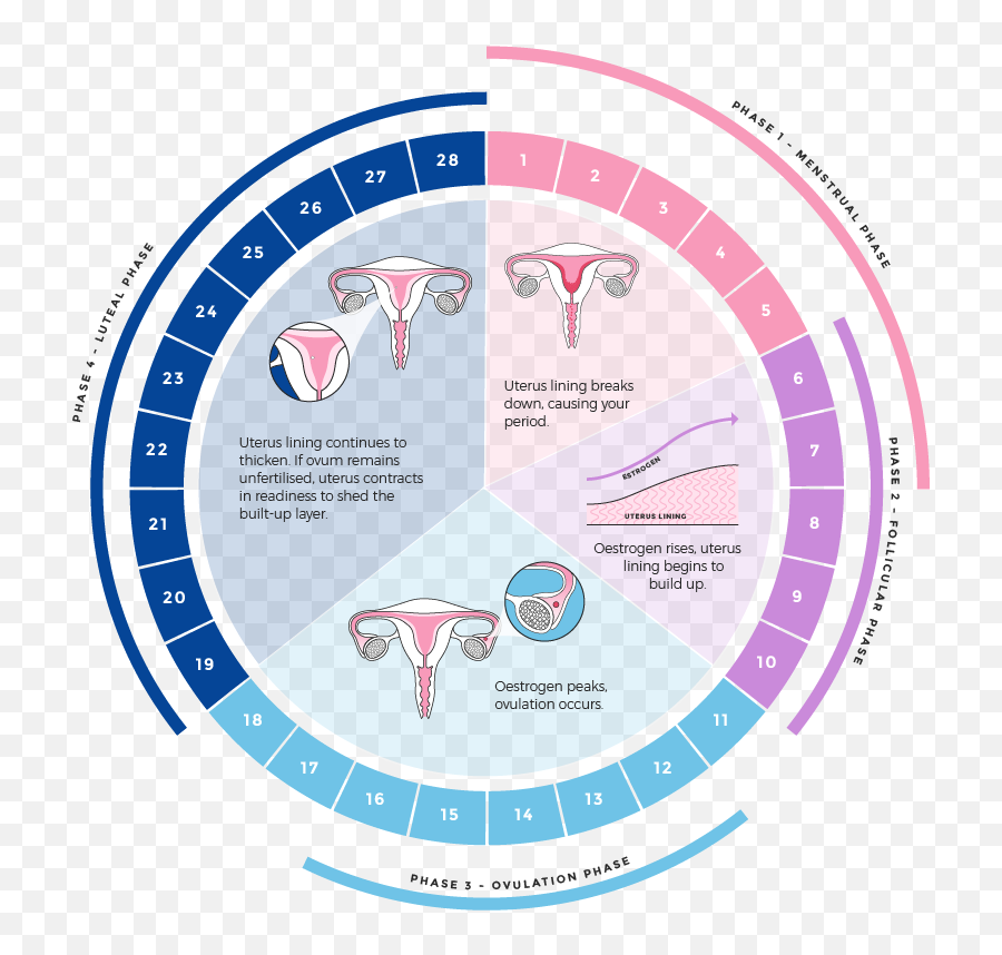 Lets Talk Period - Lucy Peach Period Phases Emoji,Emotions Period Cycle