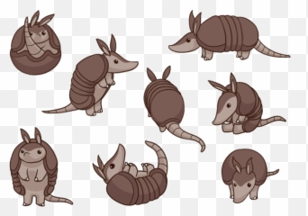 Armadillo Cartoon Vectors 157271 Vector - Armadillo Vector Emoji,Animal Emotions Cartoon