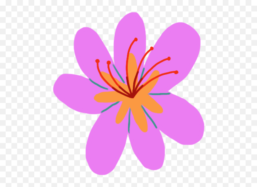 Kashmiri Saffron Emoji,Gommone Mar.co Emotion 29 Usato