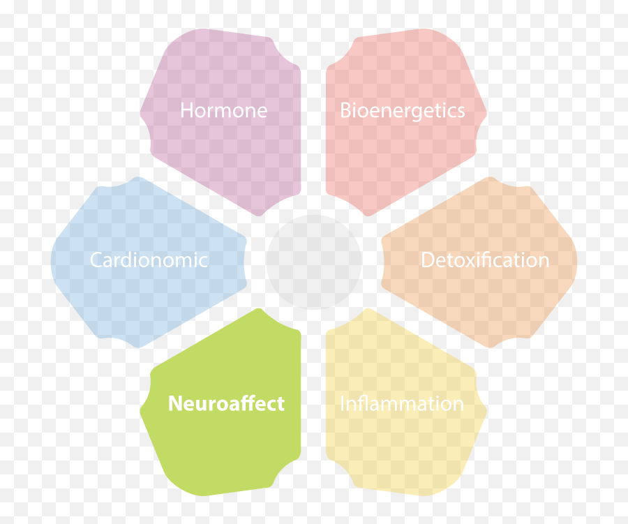 Neuroaffect Circuit - Vertical Emoji,Neurotransmitters And Emotions