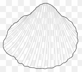 Free Shell Black And White Download - Cockle Shell Black And White Clipart Emoji,Clam Shell Emoji