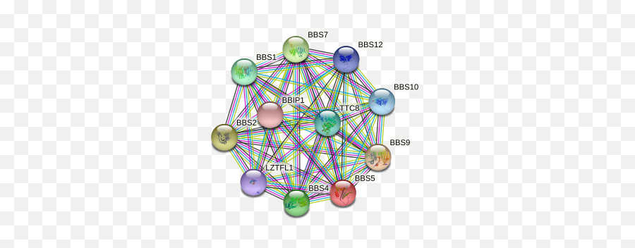 Bbs5 Protein Human - String Interaction Network Emoji,Examination Of Two Emotion Regulation Strategies In A Lebanese