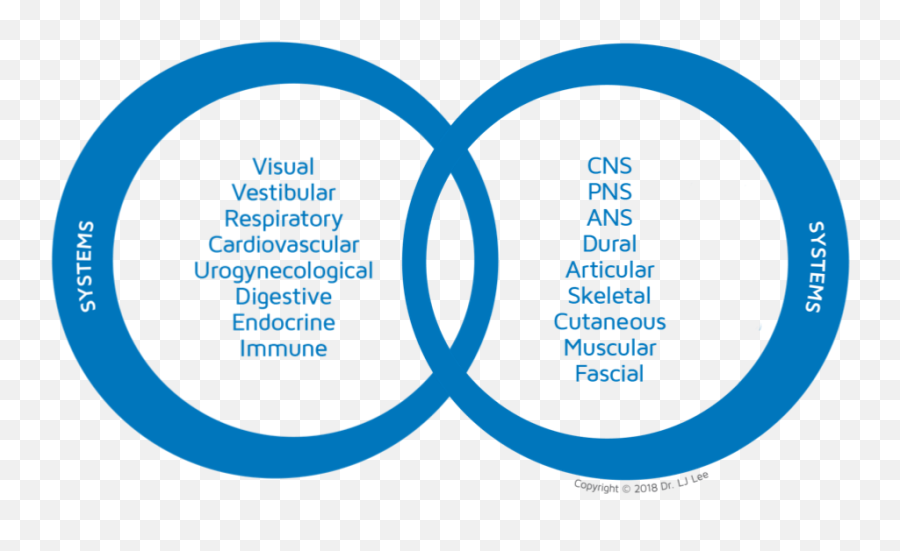 Circles Of Influence Synergy Physio Pilates - Vertical Emoji,How Emotions Affect Your Body