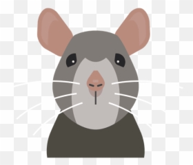 Reading Rat T - Shirt Design Vector Download Raton Png Emoji,Dragster Emoticon