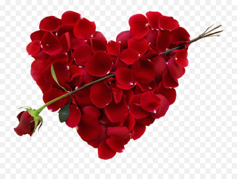 Transparent Rose Heart Png Picture Free Download Searchpngcom - Rose Heart Shape Png Emoji,Facebook Rose Emoji