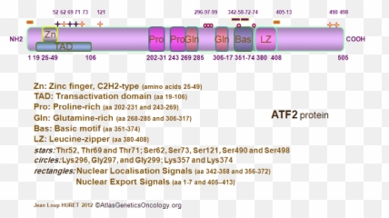 Atf2 - Atf2 Domain Emoji,Marker Binding, Emotion
