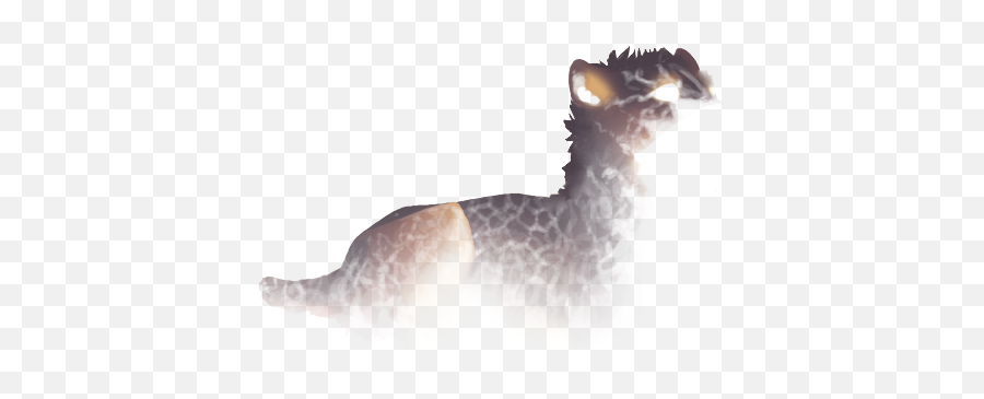 Lion Page Lioden - Wildlife Emoji,Lioness Emoticon
