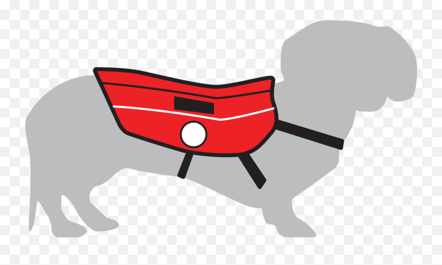 Service Dog Training Program For Veterans - K9 Partners For Emoji,Dog Emotion Trigger