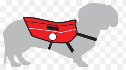Service Dog Training Program For Veterans - K9 Partners For Emoji,Dog Emotion Trigger