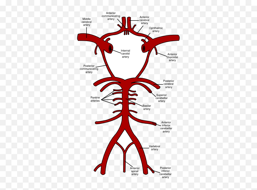 Neurology 2011 Emoji,Emotions Only Last 1.5 Seconds Bolte