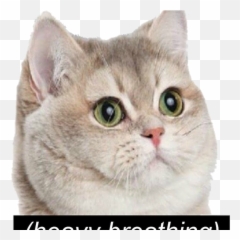 Heavy Breathing Memes Discord Emoji Slack Emoji - Waiting,Animated Shook Emoji Discord