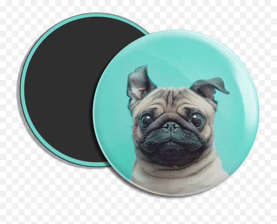 Ima - Boton Fofo Doguinho Fondo De Pantalla Mascotas Emoji,Samurai Jack Emoji Dog