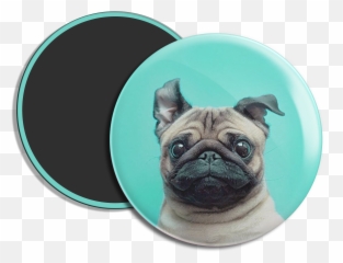 Ima - Boton Fofo Doguinho Fondo De Pantalla Mascotas Emoji,Samurai Jack Emoji Dog