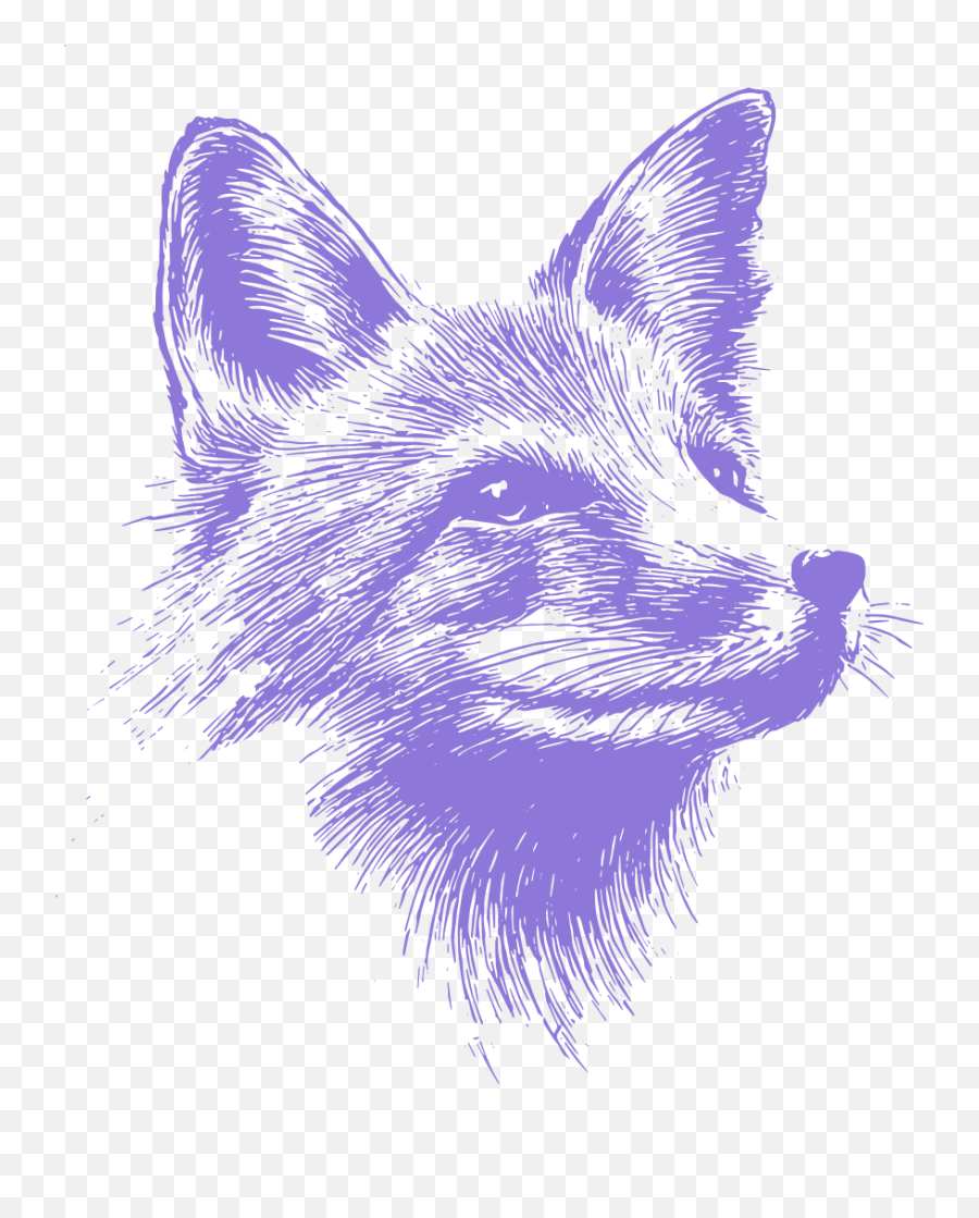 Notmine Fox Interesting Sticker - Silver Fox Emoji,Silver Fox Emoji