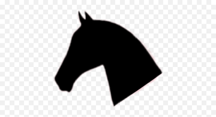 Horse Black Horse Lives Sticker - Horse Face Silhouette Emoji,Black Horse Emoji