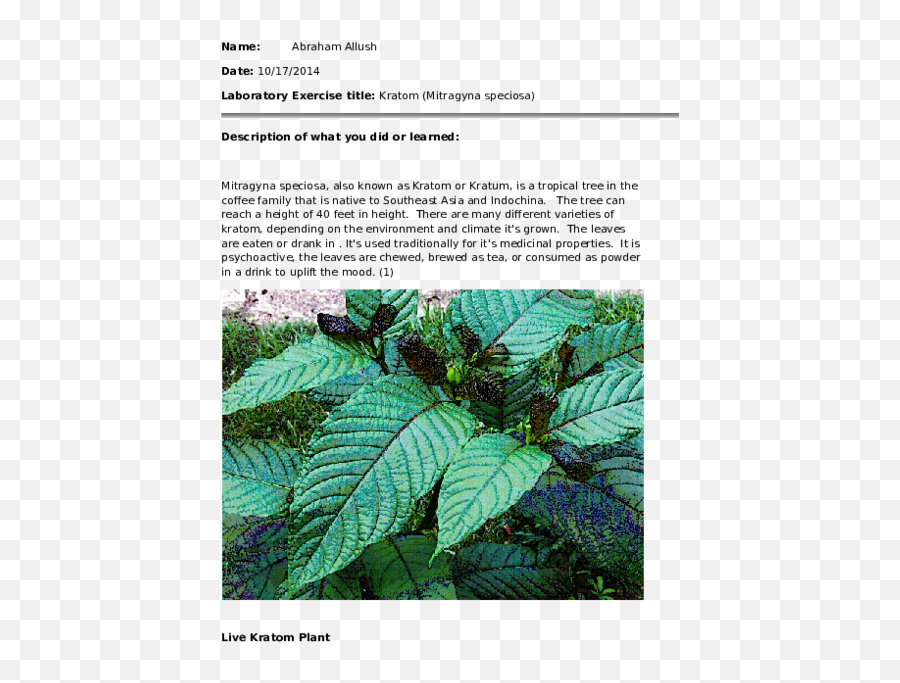 Kratom Research Papers - Plant Pathology Emoji,Emotion Para Diarrea