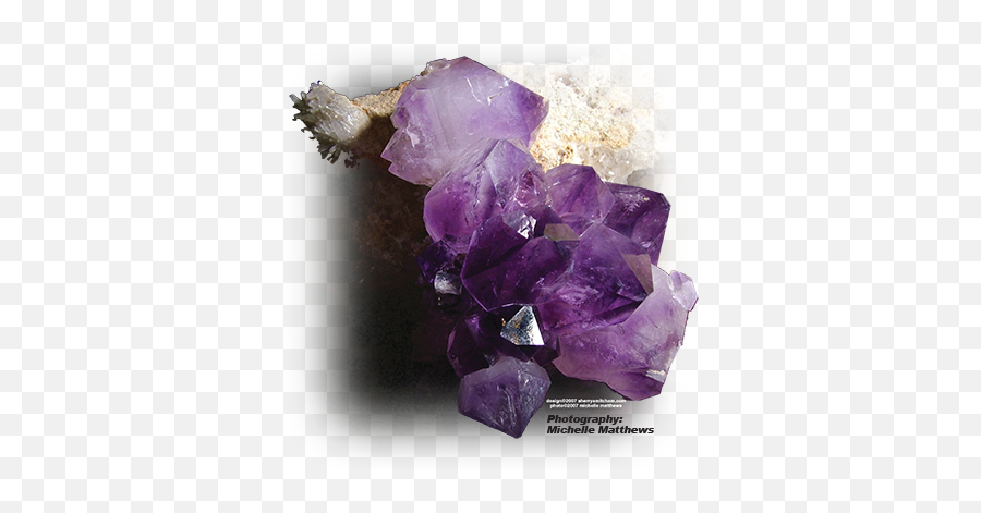 Rock Hounds Hoggs - Solid Emoji,Emotion Crystal Turns Purple