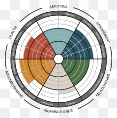 Mental Health Crisis - Flourishing Survey Emoji,Wheel Of Emotions Psychology