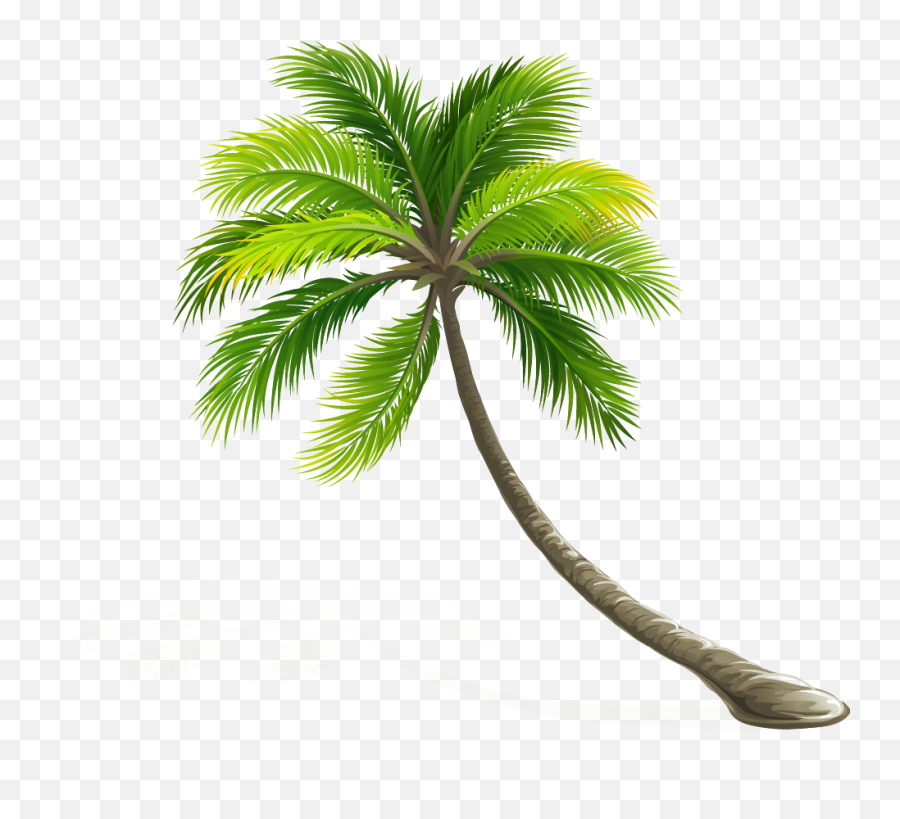 Download Arecaceae Coconut Leaf Tree Hd Image Free Png - Transparent Background Coconut Tree Png Emoji,Palm Tree Emoticons