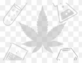 A Guide To Skin Ph And Cleansers The Satori Chemist - Marijuana Leaf Clip Art Emoji,Emoji Callus Remover