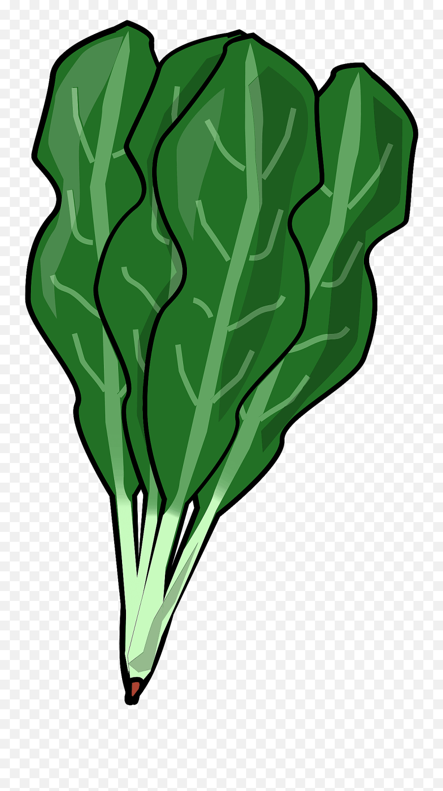 Spinach Leaves Clipart - Spinach Leaves Clipart Emoji,Spinach Emoji