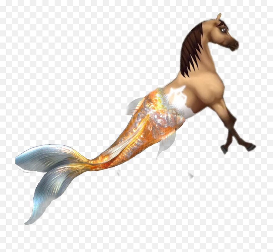 Sso Sticker - Mermaid Tail Emoji,Fish Horse Emoji