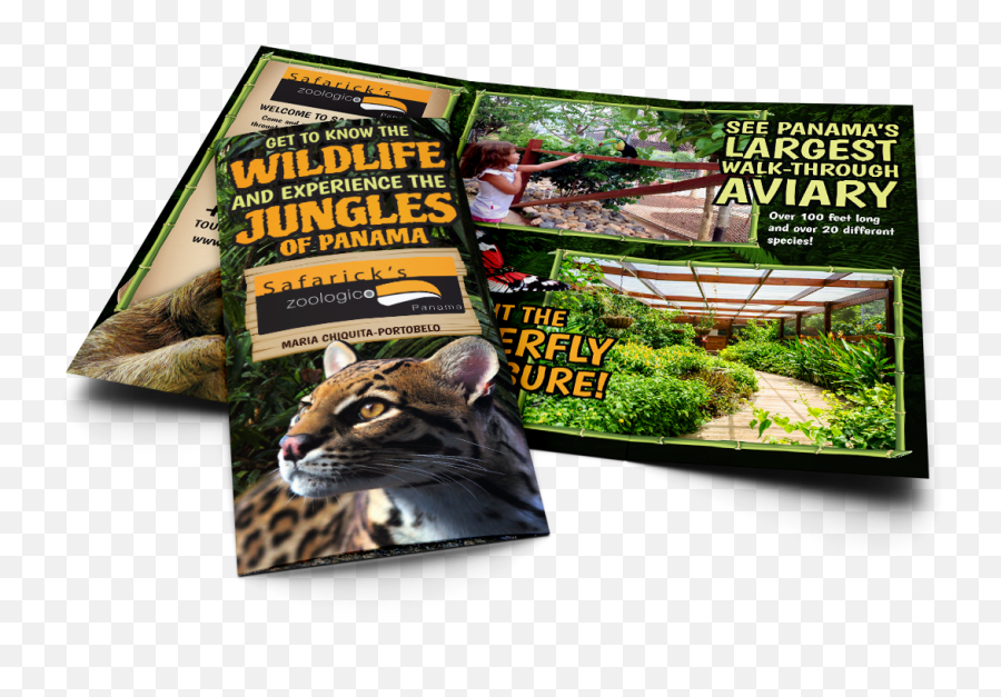 Brochure Reading - Wildlife Emoji,Dealing With Emotions Brochure Or Pamphlet