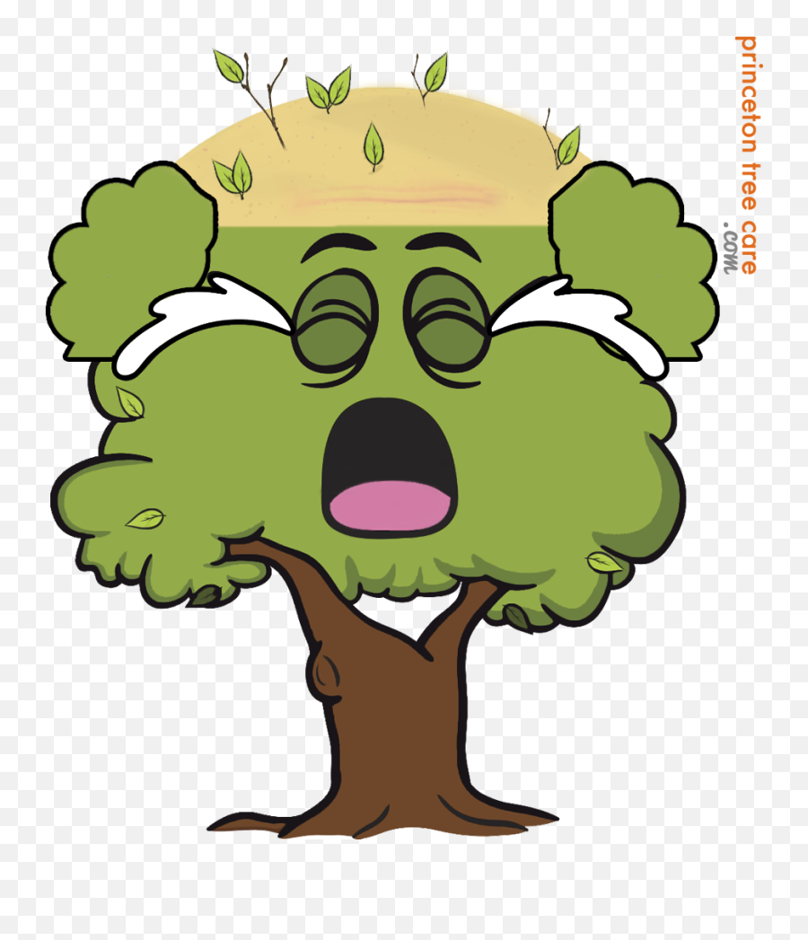 Download Tree Topping - Happy Tree Emoji,Christmas Tree Emoji