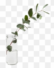 Your Mental Health - Asahi Electric Kettle Wood Emoji,Glass Jar Of Emotions
