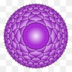 Sahasrara Symbol - History And Meaning Symbols Archive Emoji,Hindu God Of Emotions