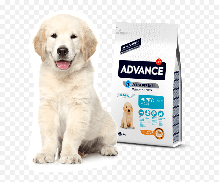 Puppy Advance - Advance Mini Adulto Kg Emoji,Dogs Pick Up On Our Emotions