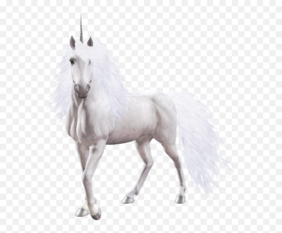 Horn Unicorn Horse Love Sticker Sticker - Transparent Background White Unicorn Png Emoji,Horse Horn Emoji