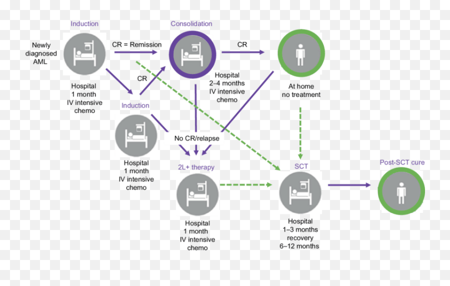 Treatment Pathway For Acute Myeloid Leukemia Abbreviations Emoji,The Discrete Emotions Questionnaire S1 Appendix