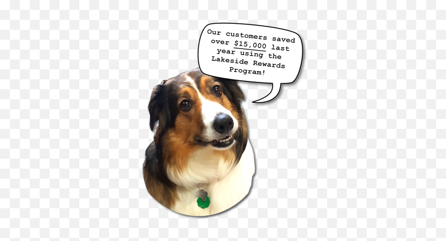 Home - Photo Caption Emoji,Dog Emotion 50% Up