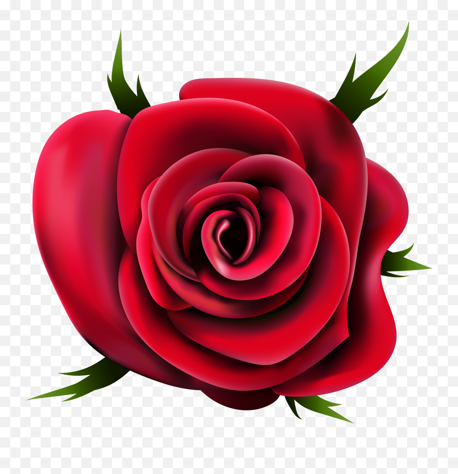 Clipart Roses Transparent Background - Transparent Rose Png Emoji,Rose Emoticon On Fb