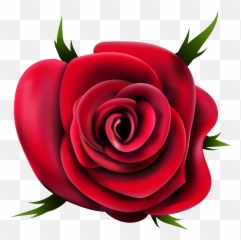 Clipart Roses Transparent Background - Transparent Rose Png Emoji,Rose Emoticon On Fb