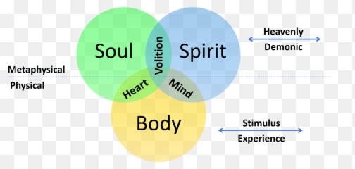 Theology - Dot Emoji,Paul Eckhart Emotions Revealed