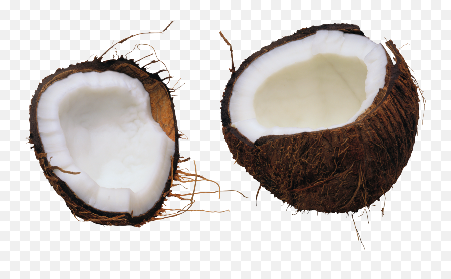Coconut Png Pictures Coconut Fresh - Kokos Png Emoji,Coconut Watering Hole Emojis