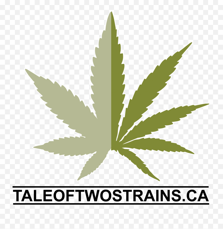 Buy Liquid Gold Thc Drops Sativa 2000mg Online - Tale Of Marijuana Leaf Png Emoji,Cannabis Emoji