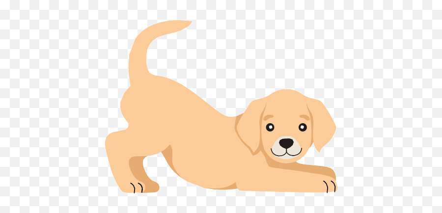 Dog Training Courteous Canine Emoji,Small Squeaky Smily Face Emoticon Dog Toys