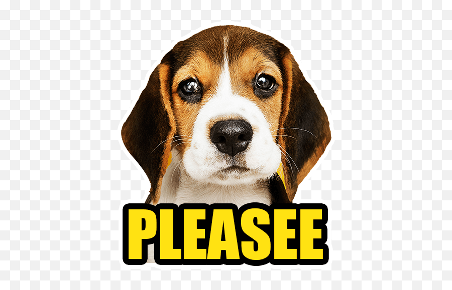 Dog By Rebekah Short - Sticker Maker For Whatsapp Emoji,Puppy Dog Eyes Emoji