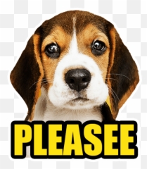 Dog By Rebekah Short - Sticker Maker For Whatsapp Emoji,Puppy Dog Eyes Emoji