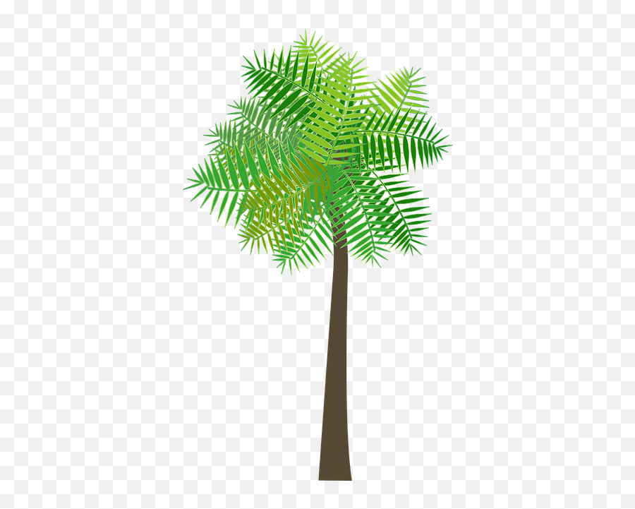 Free Image On Pixabay - Graphic Palm Tree Palm Tree Sea Vertical Emoji,Palm Tree Emoji