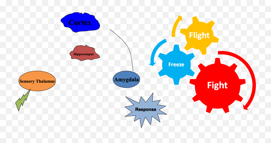 Trauma And The Brain U2014 Boost Counseling - Flight Fright Or Freeze Emoji,Amygdala Emotions