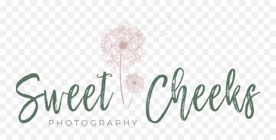 About Stephanie Sweet Cheeks Photography - Handmade Emoji,Sweet Emotion Year
