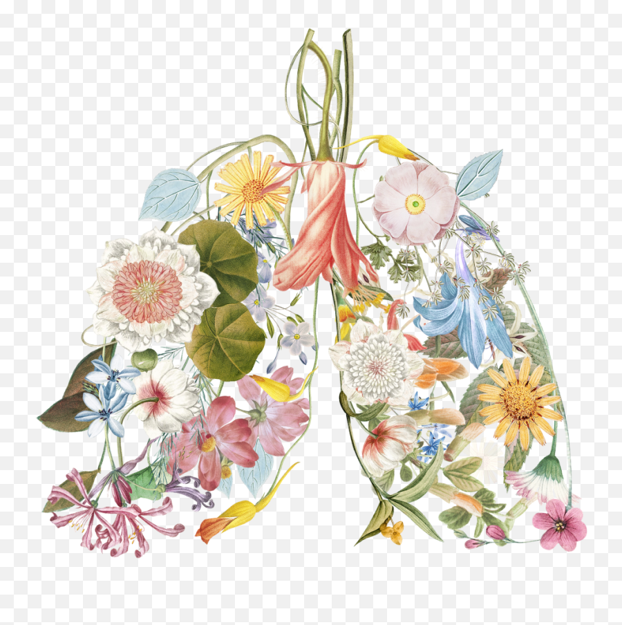 Evan Shamoon - Floral Lungs Emoji,Flowers As Human Emotion Art
