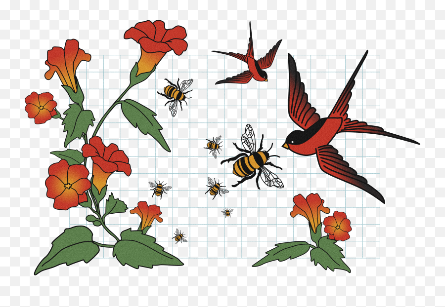 The Birds And The Bees How About U0027nou0027 U0027yesu0027 And U0027please Emoji,Emotions Are A Cruel And Fickle Thing The Birds And The Bees How About U0027nou0027 U0027yesu0027 And U0027please Emoji,Emotions Are A Cruel And Fickle Thing