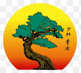 United Studios Of Self Defense - United Studios Of Self Defense Emoji,Trampoline Art And Emotions