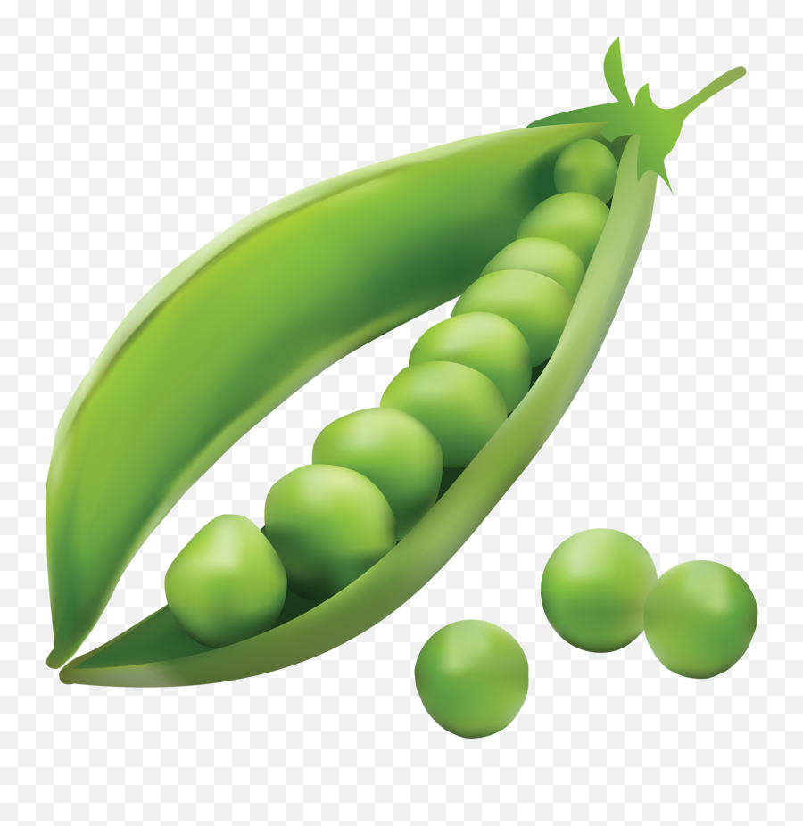 Vegetables Fruits And Vegetables - Pea Clipart Png Emoji,Corn Snow Emoji